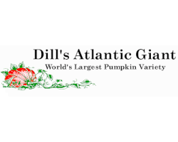 Dills Atlantic Giant