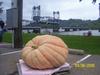 Giant Pumpkin and Stillwater lift bridge