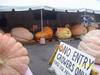 View of pumpkins