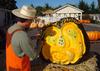 Squash carving