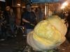 1,100 lb. pumpkin 3 faces.