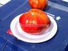 I'm better at tomatoes than pumpkins--Gregori's Altai