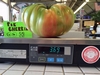 New Colorado State Record Tomato