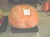 Dave Sunlin's first giant pumpkin 867.6#