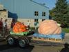 Don and Julie Young's pumpkins arrive