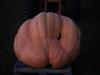 Split Pumpkin on 922.5 Emmons