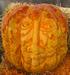 Great Pumpkin grown by Bob Duffy of Topsfield, MA and carved by Chris Costanzo of Haverhill, MA