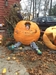 What do you do with your pumpkins