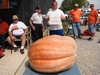tims pumpkin on the scales at the weigh-off