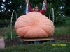 Me And My Pumpkin