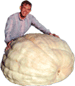 Link To: Bart's Pumpkin Patch
